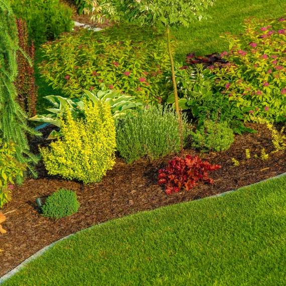 Home Drainage & Grading Solutions