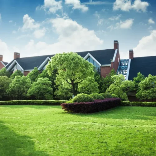 Home Landscaping Services