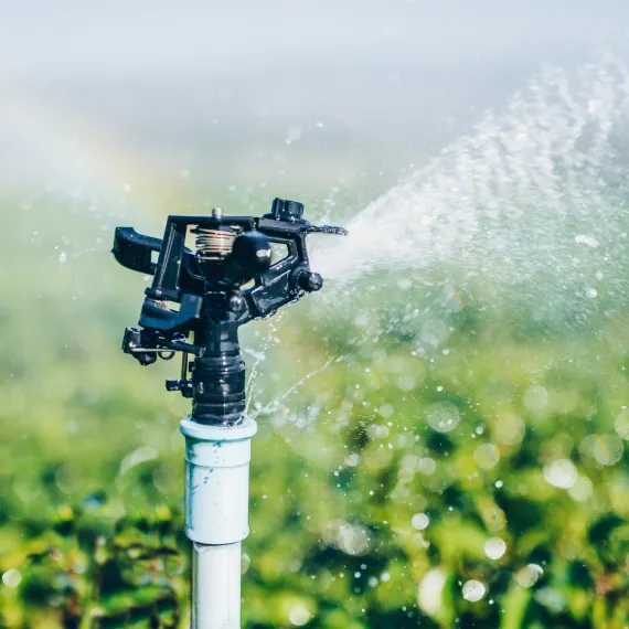 Irrigation Repair