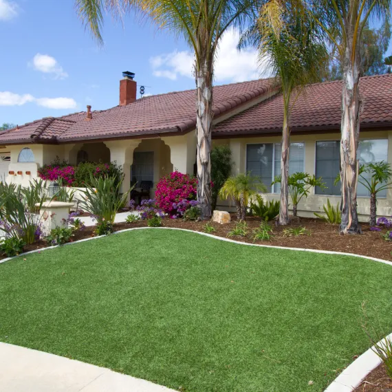 Lawn Care & Maintenance