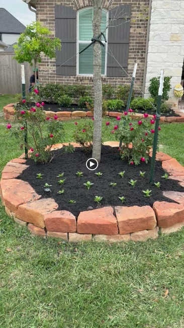 AMZ Landscaping Projects 23
