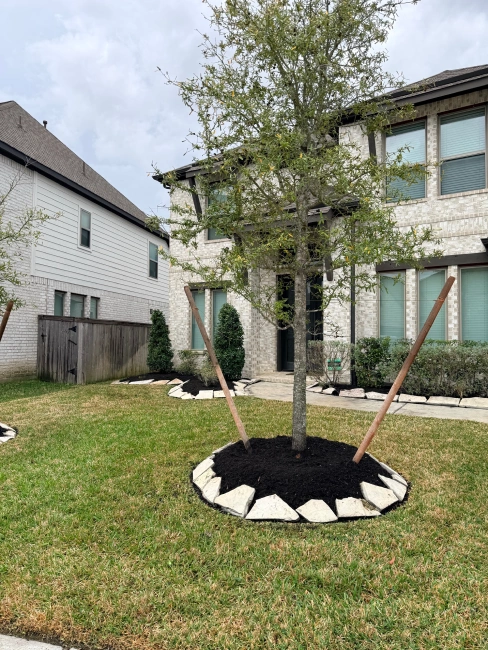 AMZ Landscaping Projects 28