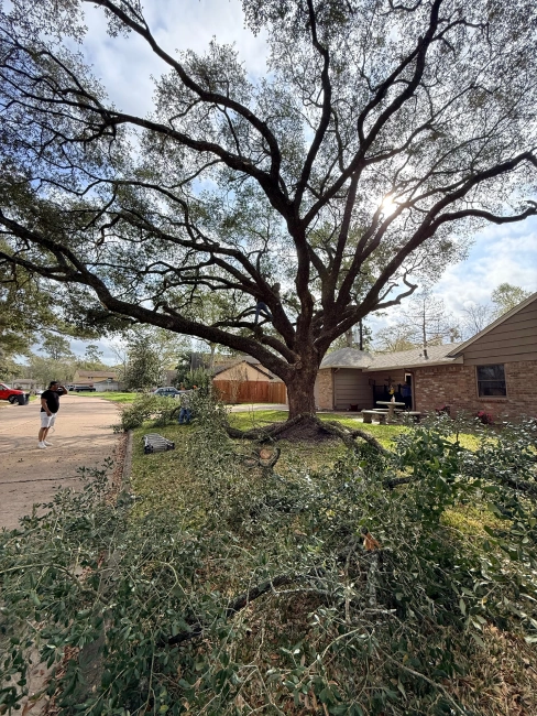 AMZ Landscaping Projects 29