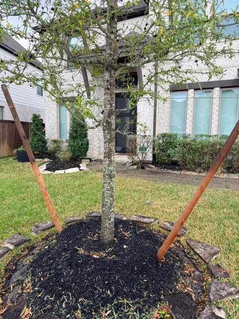 AMZ Landscaping Projects 31